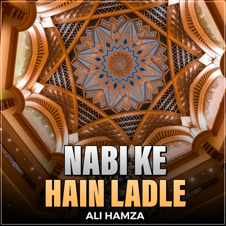 Nabi Ke Hain Ladle | Boomplay Music