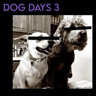 Dog Days 3