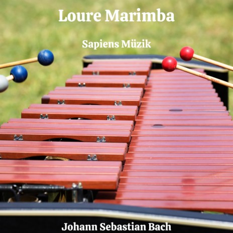 BWV 1004 Giga Marimba Edition | Boomplay Music