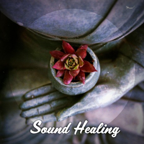 Sound Healing Meditation | Boomplay Music