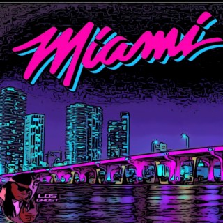 miami nights