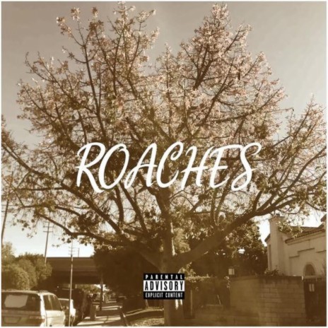 ROACHES ft. Shackleton | Boomplay Music