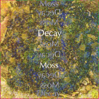 Moss / Decay