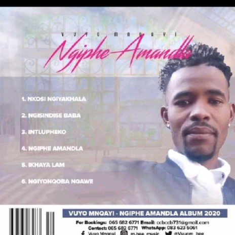 NGIPHE AMANDLA | Boomplay Music