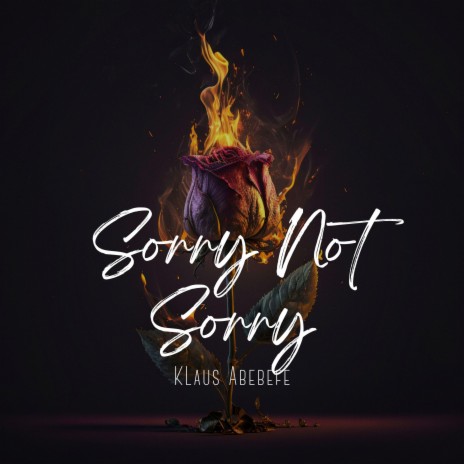 Sorry Not Sorry | Boomplay Music