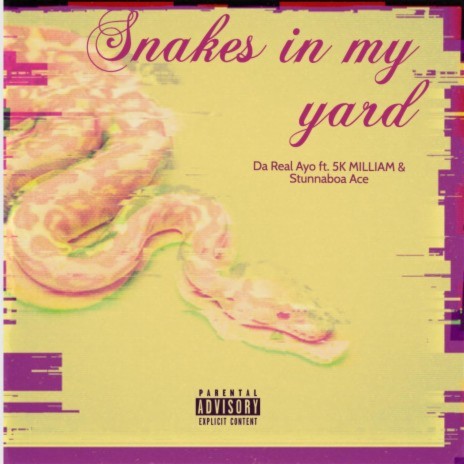 Snakes in my yard ft. 5k Hunnid & Stunna | Boomplay Music