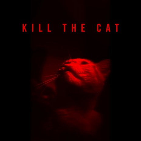 Kill The Cat | Boomplay Music