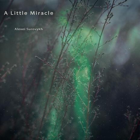 A Little Miracle | Boomplay Music