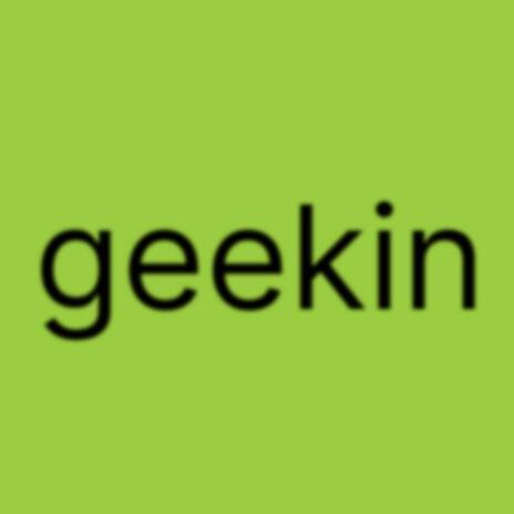 geekin | Boomplay Music