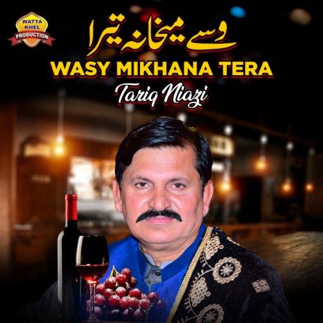 Wasy Mikhana Tera | Boomplay Music