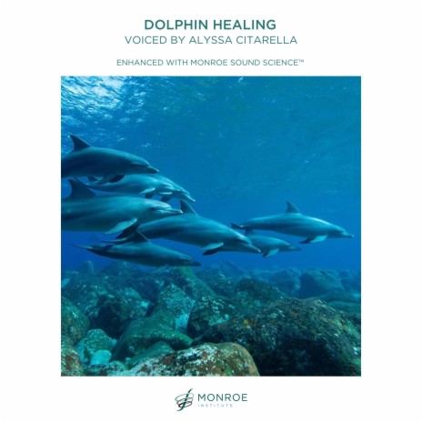 Dolphin Healing | Boomplay Music