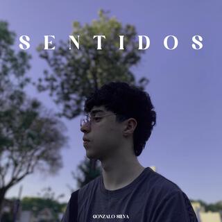 SENTIDOS