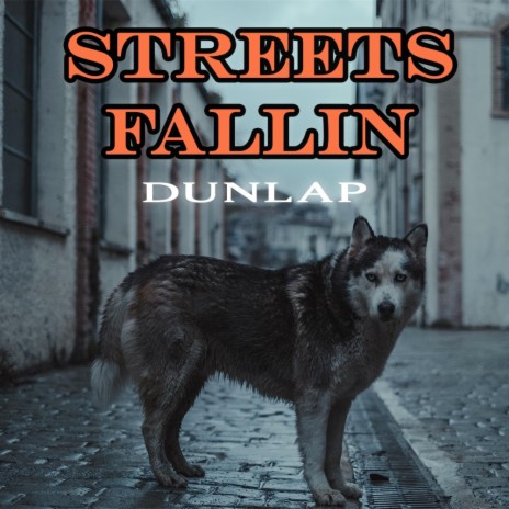 STREETS FALLIN | Boomplay Music