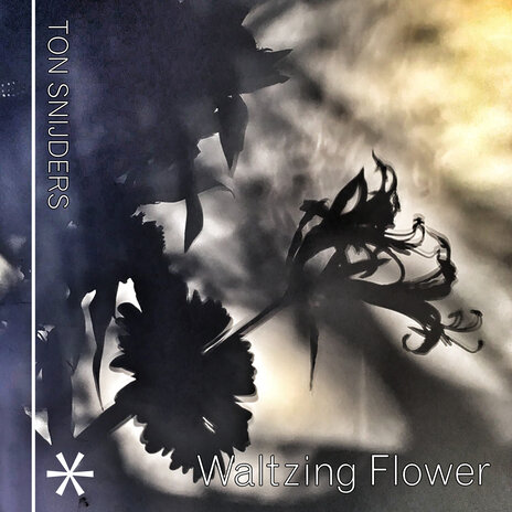 Waltzing Flower | Boomplay Music