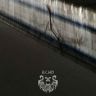 Echo