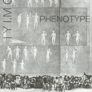 Phénotype