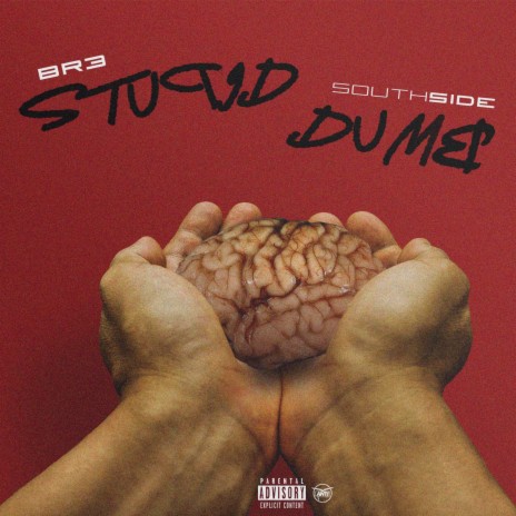 Stupid Dumb | Boomplay Music
