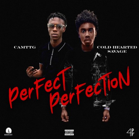 Perfect Perfection ft. Coldheartedsavage | Boomplay Music