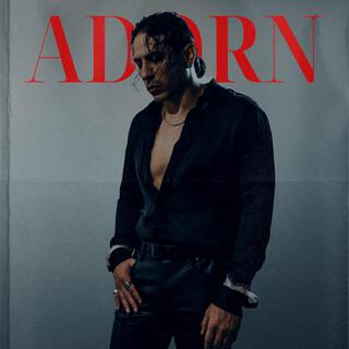 Adorn lyrics | Boomplay Music