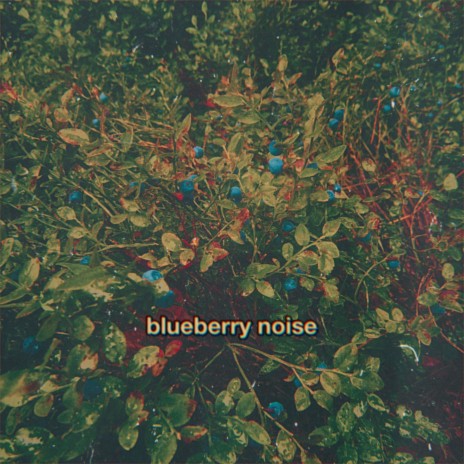 blueberry noise