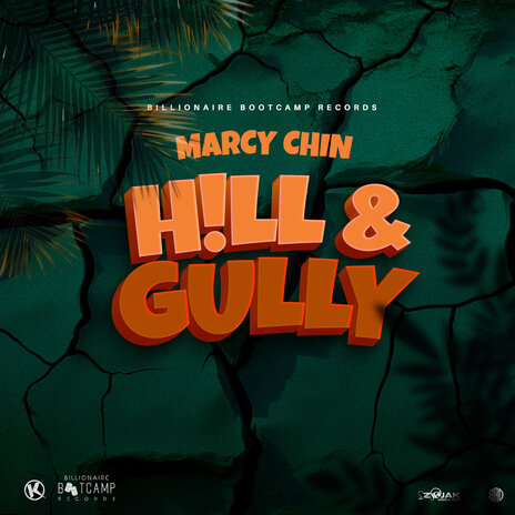 Hill & Gully | Boomplay Music