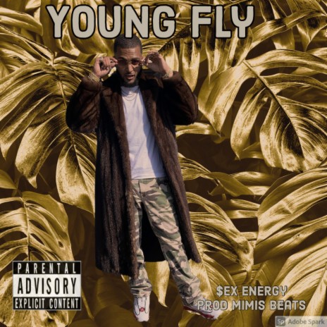 Young Fly | Boomplay Music