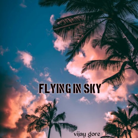 Flying In Sky