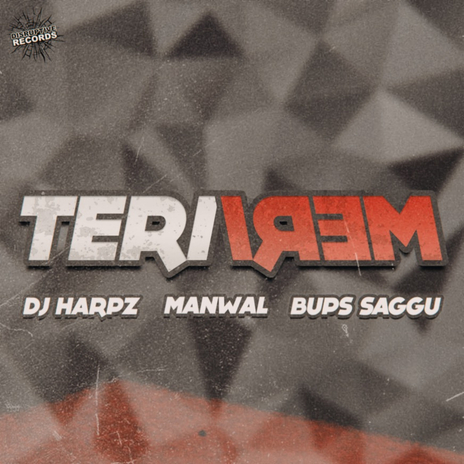 Teri Meri ft. DJ Harpz & Manwal