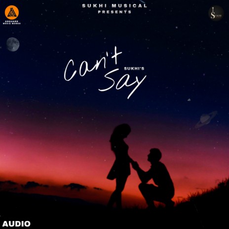 Can’t Say | Boomplay Music