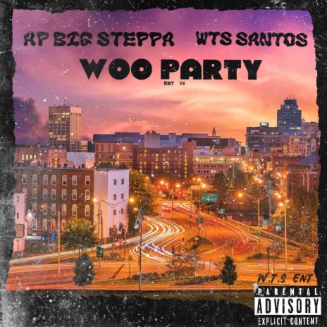 Woo Party ft. W.T.S Santos | Boomplay Music