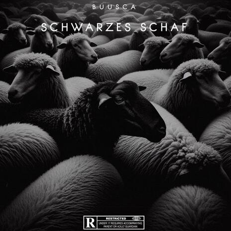 Schwarzes Schaf | Boomplay Music