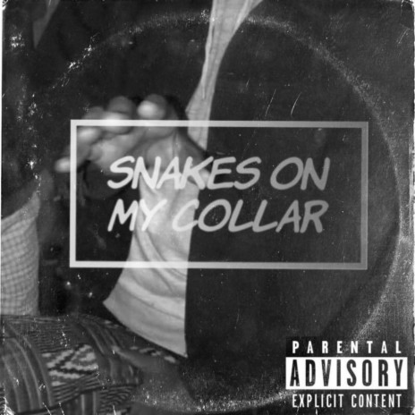 Snakes On My Collar (SOMC) | Boomplay Music