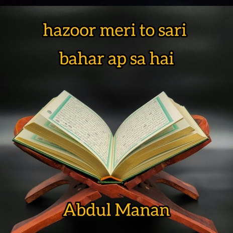 hazoor meri to sari bahar ap sa hai | Boomplay Music