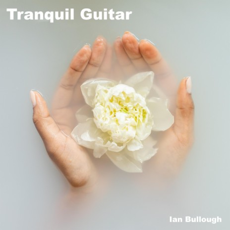 Tranquil Guitar | Boomplay Music