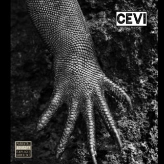 Cevi