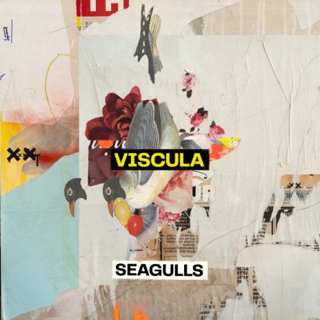 Seagulls