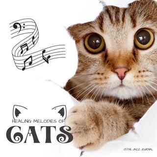 Healing Melodies for Cats