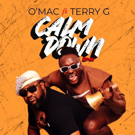 Calm Down (Remix) ft. Terry G