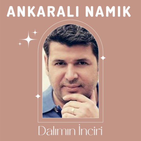 Dalımın İnciri | Boomplay Music