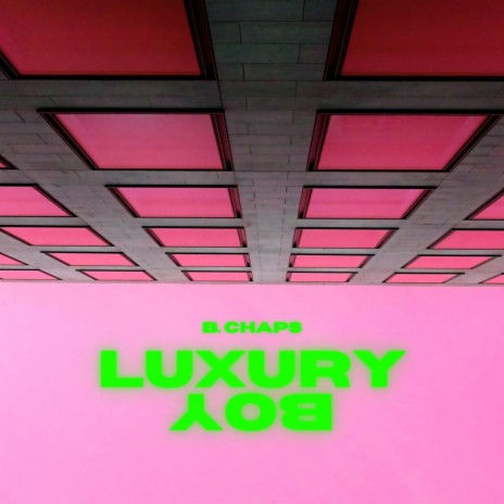 luxury boy (freestyle).wav | Boomplay Music