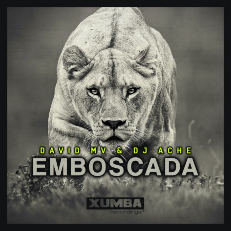 Emboscada (Original Mix) ft. Dj Ache | Boomplay Music