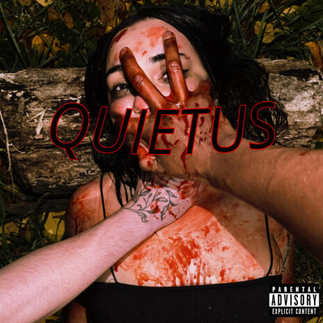 Quietus Explanation