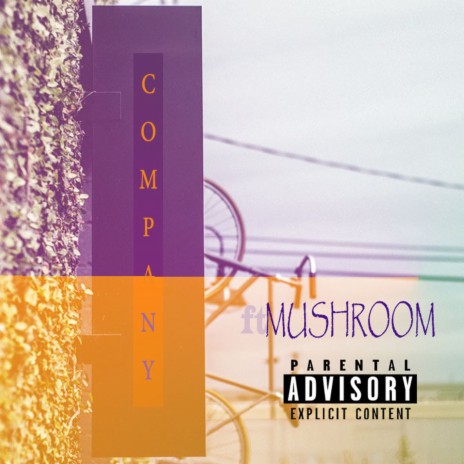 Mushroom Company | Boomplay Music
