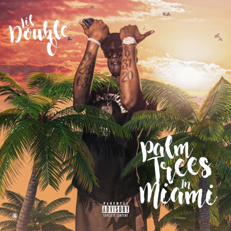 Palm Trees in Miami | Boomplay Music