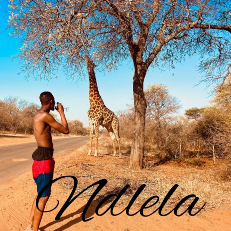 Ndlela | Boomplay Music
