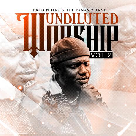 Undiluted Worship, Vol. 2 | Boomplay Music