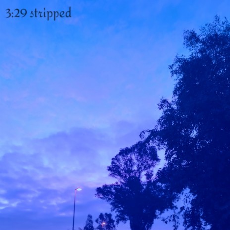 3:29 (stripped) | Boomplay Music