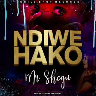 Mr Shegu - Ndiwe Hako