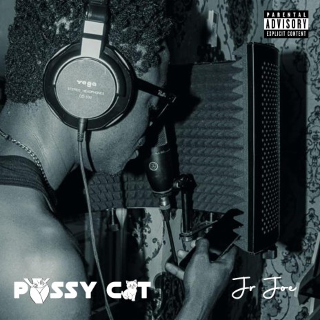 Pussy Cat | Boomplay Music