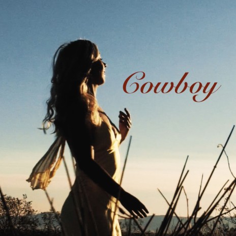 Cowboy | Boomplay Music